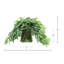 Scindapsus dans un vase en verre
