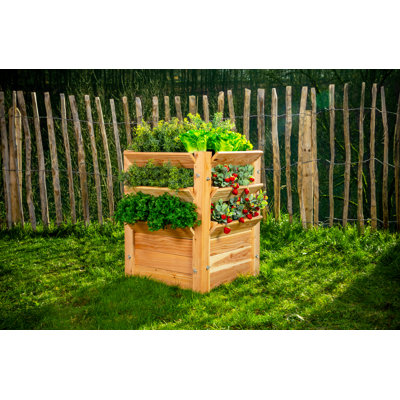 Premium-Hochbeet L