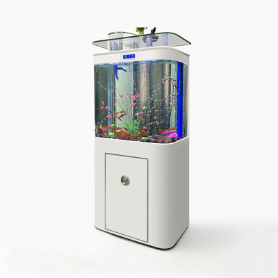 Réservoir d'aquariums carrés avec filtre supérieur