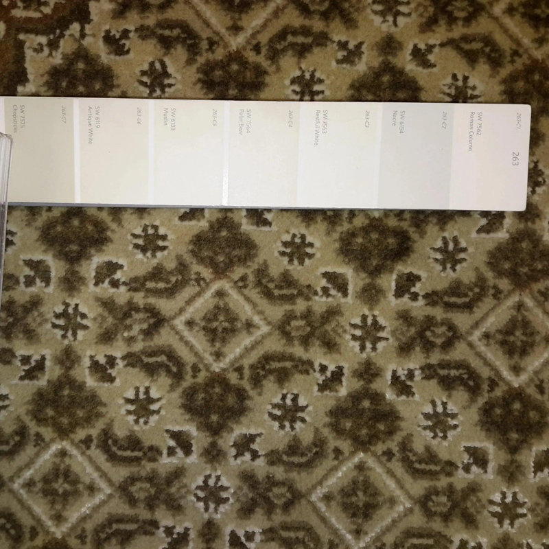 9'X12' Oriental Area Rug in Beige