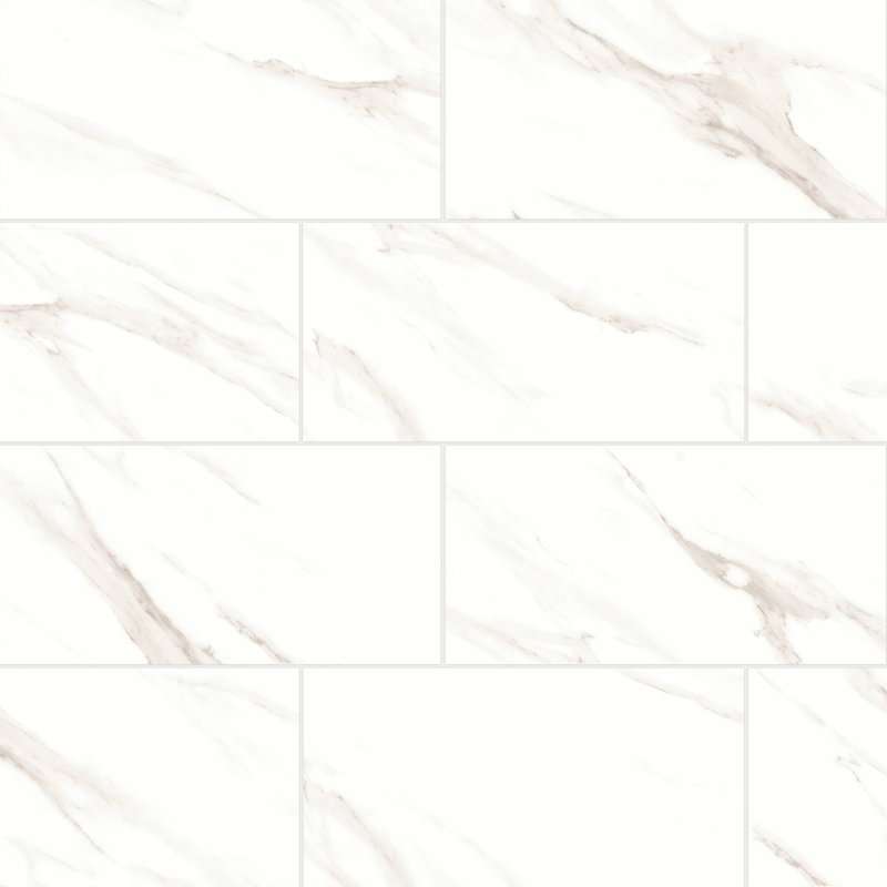 Shandar 12 in. x 24 in. Porcelain Tile, Polished