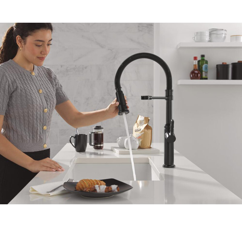 Rhett Pro Commercial Kitchen Faucet, Pull Down Sprayer Kitchen Sink Faucet, Matte Black
