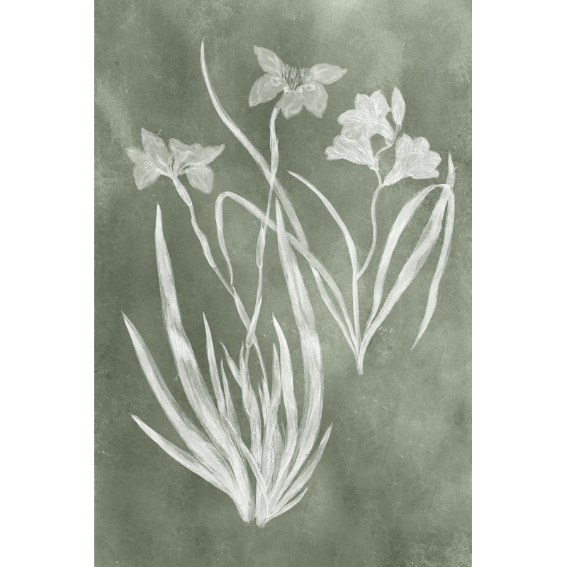 Sage Impressions VI by Vision Studio - Wrapped Canvas Painting, 91cm H x 61cm W