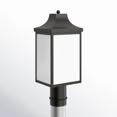 Lantern Head
