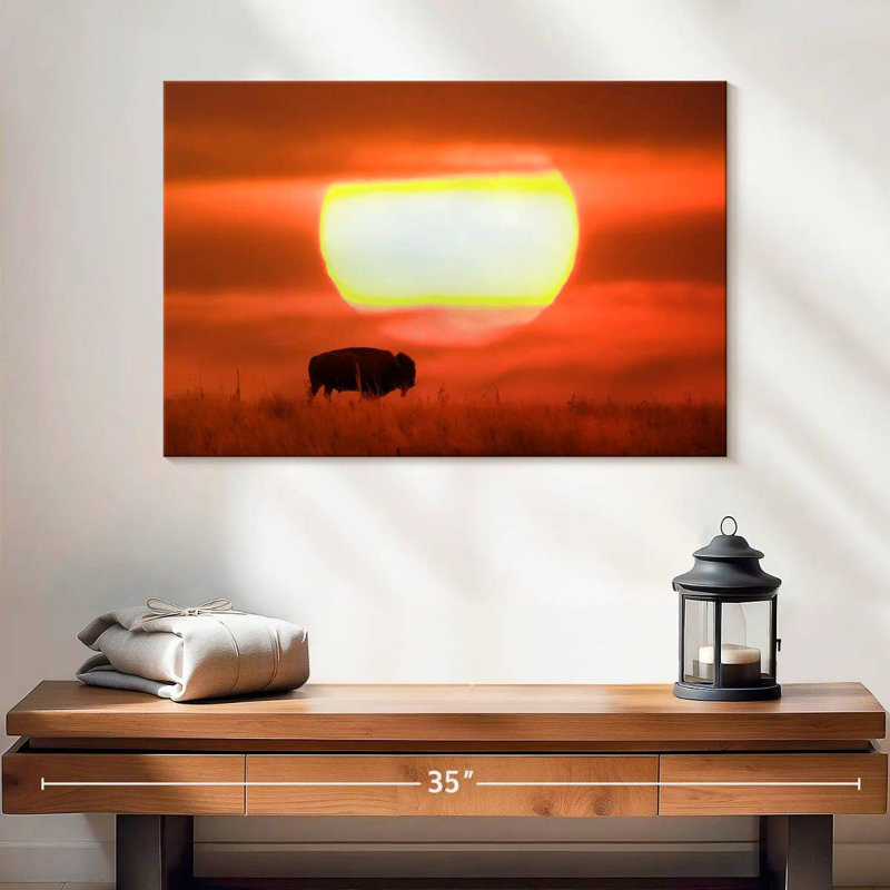 Buffle Brampt américain au coucher du soleil, H 16 po x l 24 po