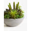 29cm Faux Succulent Plant in Stone Planter