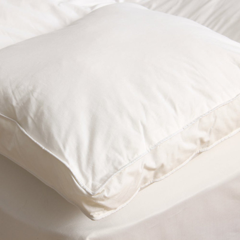 Surmatelas à plateau-coussin 2 po Buckingham, L 80 po x l 39 po