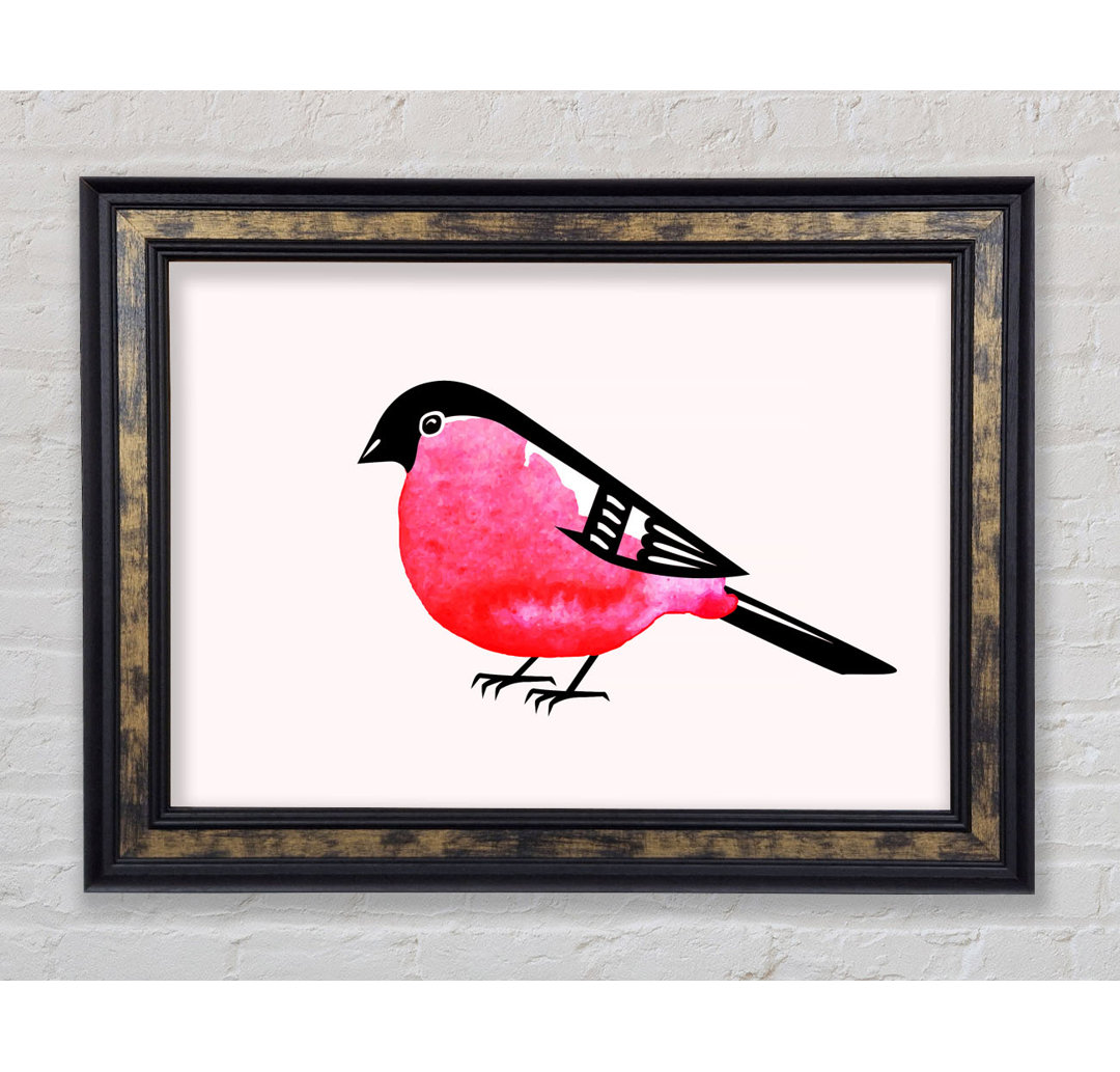 Gerahmtes Bild Pink Robin Breast