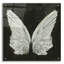  «Wings 1» par James Wiens, art mural en verre acrylique, 24 po x 24 po