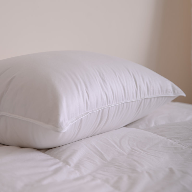 Highland Feather 725 Loft Canadian Hutterite Goose Down Pillow 700 TC Cotton Casing, Standard