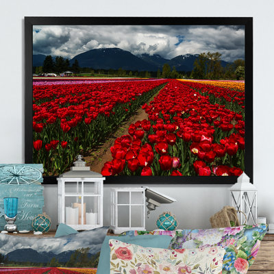 Tulipes contre les montagnes sombres II - On