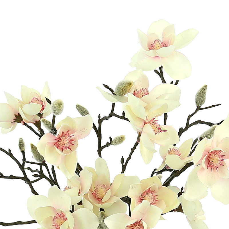 Organic Modern Butterfly Magnolia Arrangement
