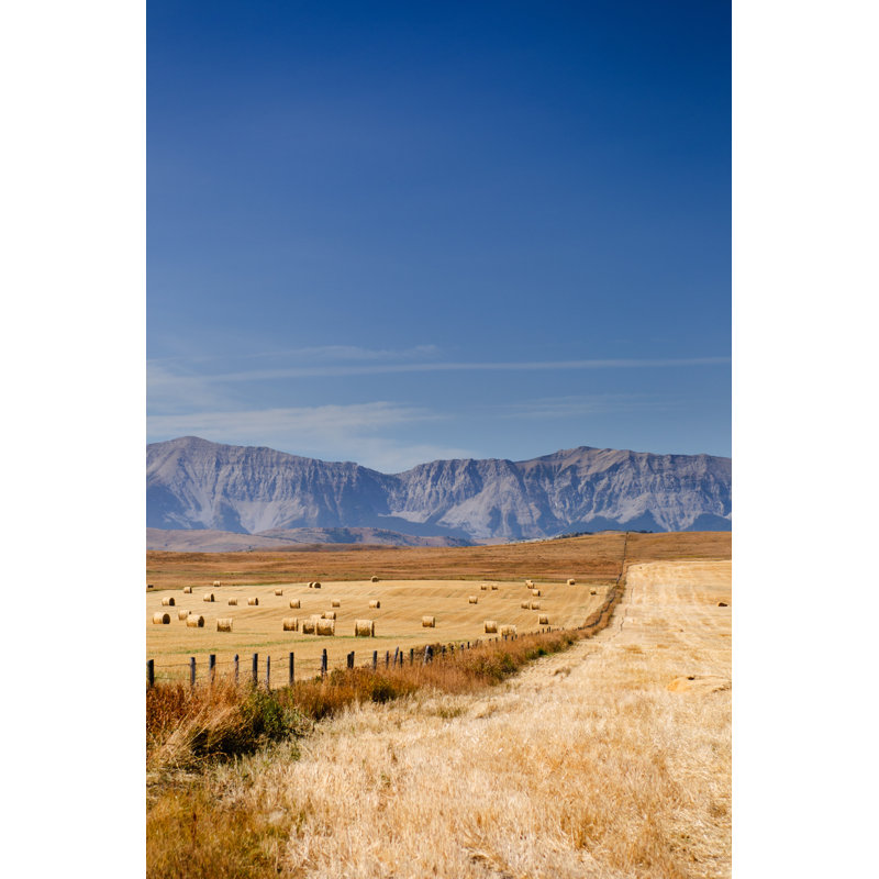 Prairie Views par Bgsmith - Photographie sur toile tendue, H 30 po x l 20 po