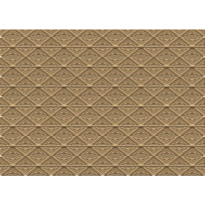 Indoor Rug