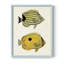 «Yellow & Gray Fish III», reproduction encadrée - bois massif-537136669-537136647