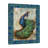 Peacock With Border by Tre Sorelle Studios - Wrapped Canvas Print-24771544