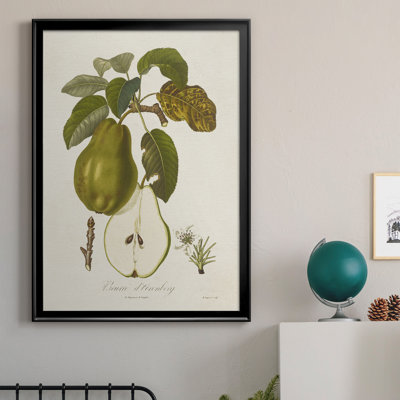 Vintage Pears IV - reproduction de cadre photo sur toile