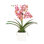Faux Orchid Plant In White Vase