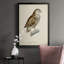«French Owls I», impression sur papier-1832933970-1832933971