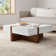 Elka Storage Coffee Table