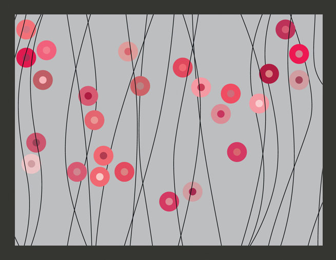 Rosy Buttons 231cm x 300cm Wallpaper, 231cm L x 300cm W