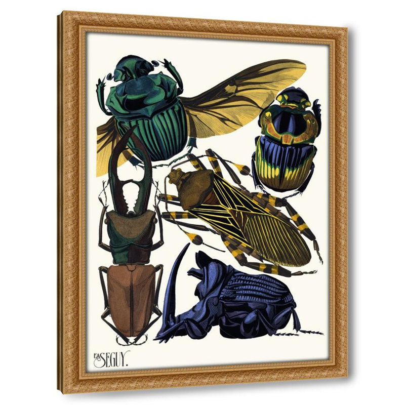Insectes Pl.07 (1929)