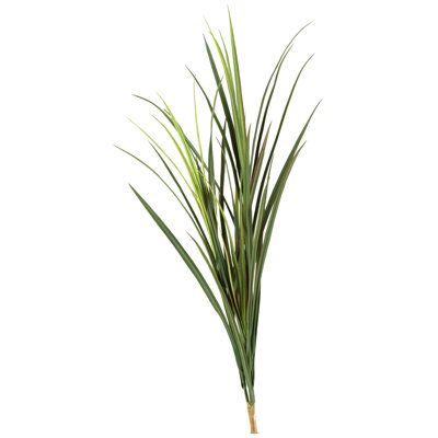 36 " Grass