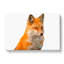 Geometric Red Fox In Abstract - Wrapped Canvas Painting-55317010