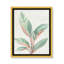 Gingembre II - reproduction d'art-55542000-55542019
