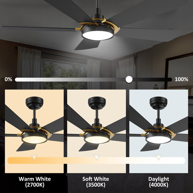 Ventilateur de plafond extérieur noir avec lumière, H 14,3 po x l 52 po