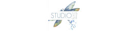 Studio NYC Design logo