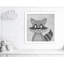 Impression sur papier Cheery Racoon-47841937-47483417