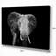 Artistique éléphant - impression sur toile tendue-29495663