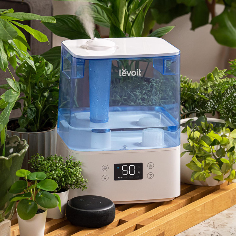 Levoit 1.58 gal 215 Sq Ft Digital Ultrasonic Humidifier