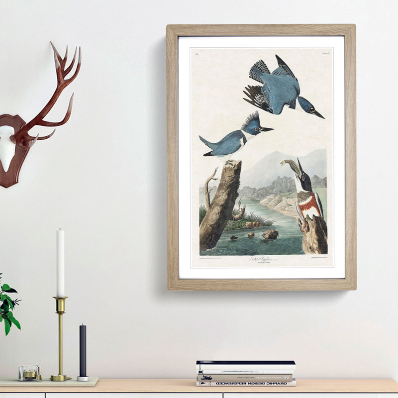 Belted Kingfishers by John Audubon - Framed Print, 45cm H x 33cm W x 2cm D, Oak Framed