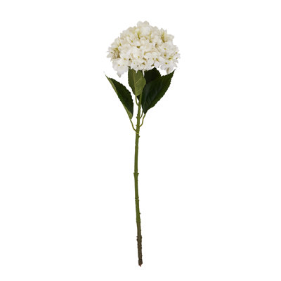Arrangement