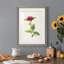 «Pretty Botanicals II», cadre photo-341834848-341834851