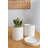 Carlotta Ceramic Pot Planter-607820778-607820777