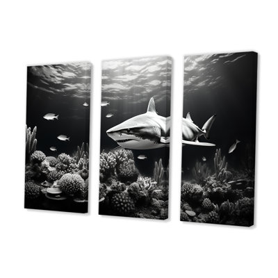 Black And White Shark S Graceful Glide - Coastal Coral Under Water Wall Art Set