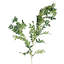 Plastic, Silk Artificial Arrangement