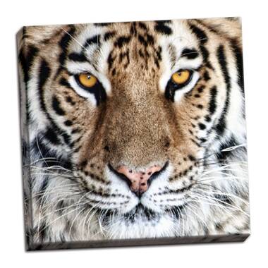 Ebern Designs Tiger Ready To Attack On Canvas Print