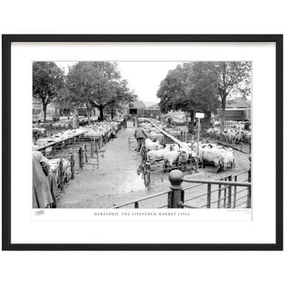 Hereford, the Livestock Market C1965 1 Piece Single Picture Frame Wall Art