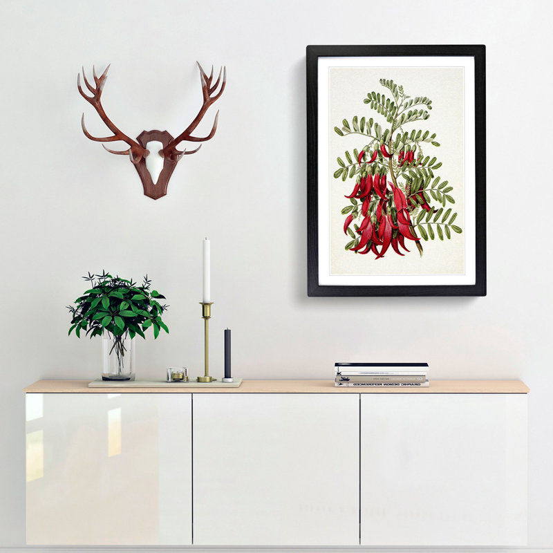 Clianthus Flowers by Sarah Featon - Picture Frame Painting Print, 48cm H x 36cm W x 2cm D, Black Framed