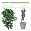 Plante de 72 po