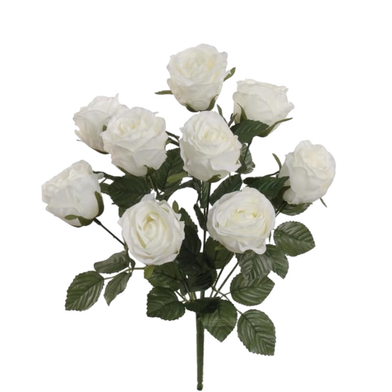 Rosier de 17 po - paquet de 3