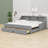 Daybed Frame With Storage Bookcases And Two Drawers,Charging Design-1541222612