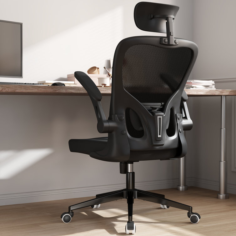 Cadell Ergonomic Office Chair, Home Office Desk Chairs with Lumbar Support, 3D Headrest and Flip Up Arms, Rockable Swivel