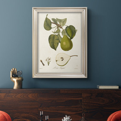 Vintage Pears - reproduction de cadre photo sur toile