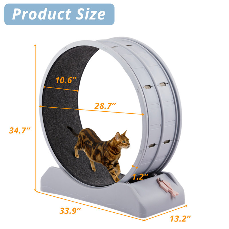 31 Inch Cat Treadmill Exercise Running Wheel