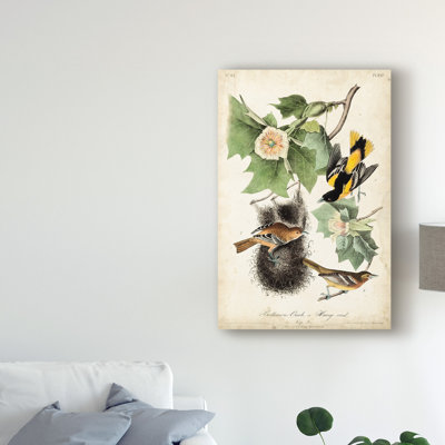 « baltimore oriole », reproduction de peinture à l’huile sur toile tendue